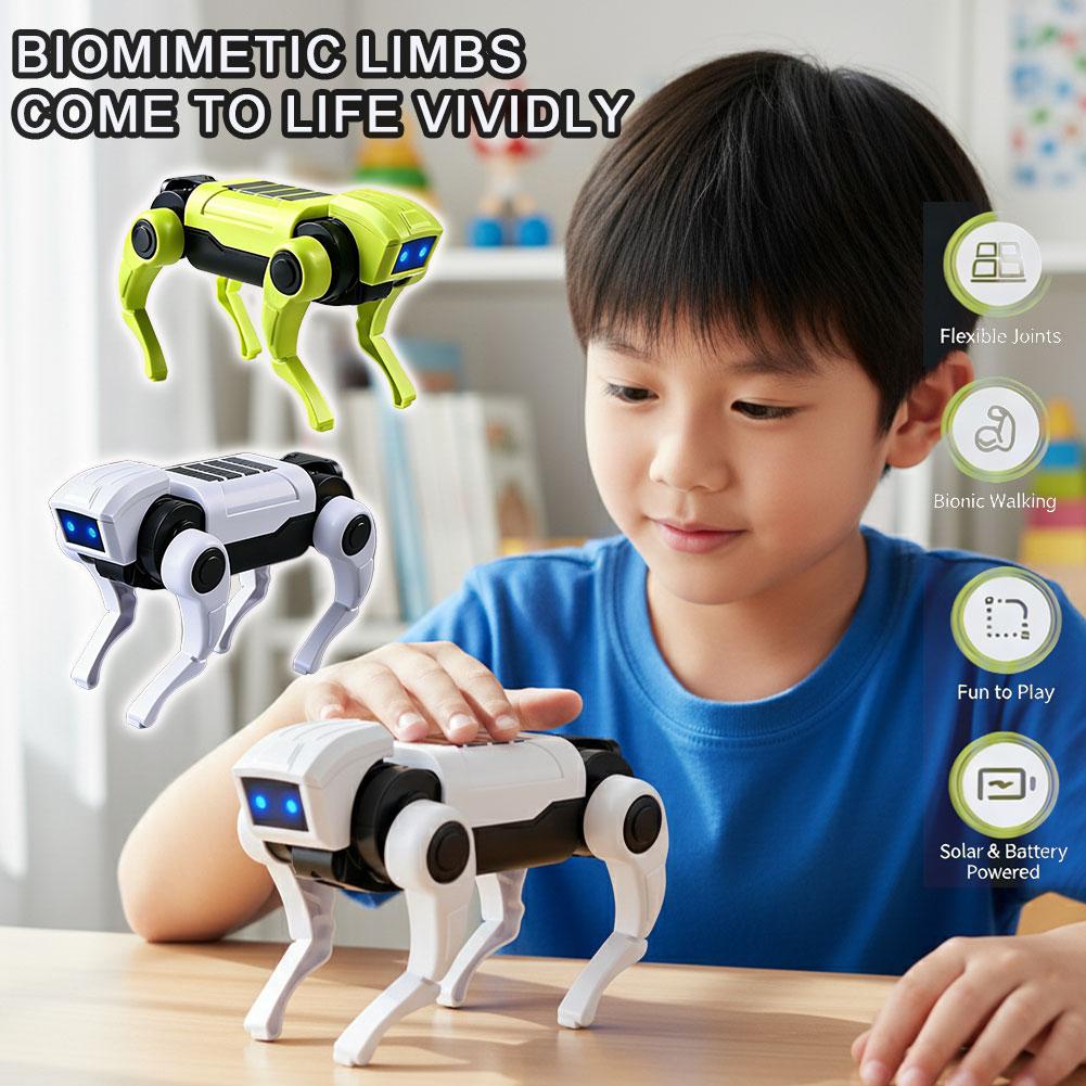 Science Diy Model - DIY Assembly RC Robot Dog Toy