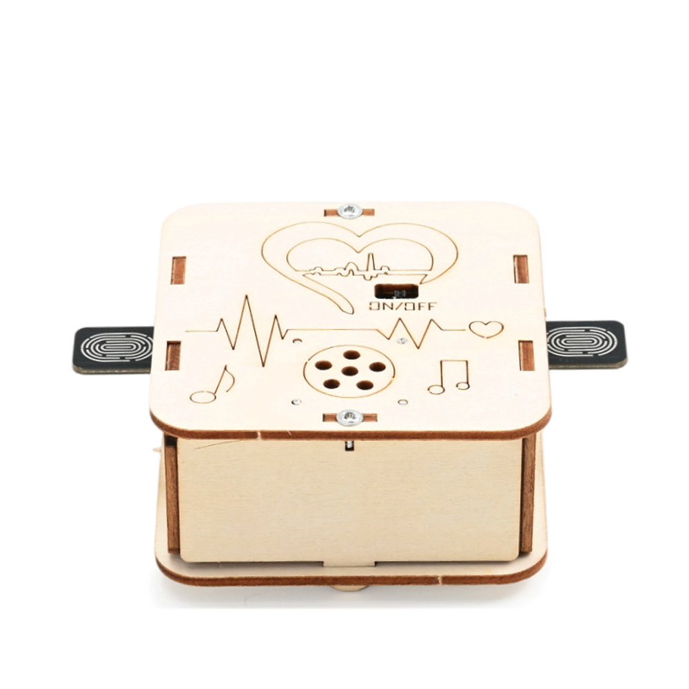 DIY Human Body Induction Rhyth - Science And Invention recension och pris