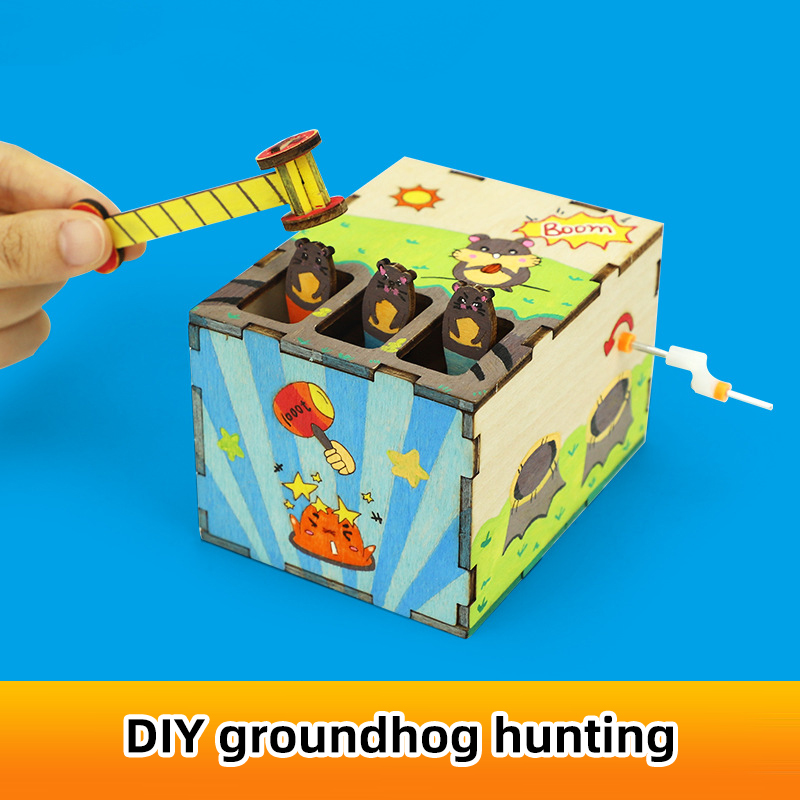 DIY Mouse Game Science and Tec - Science And Invention recension och pris